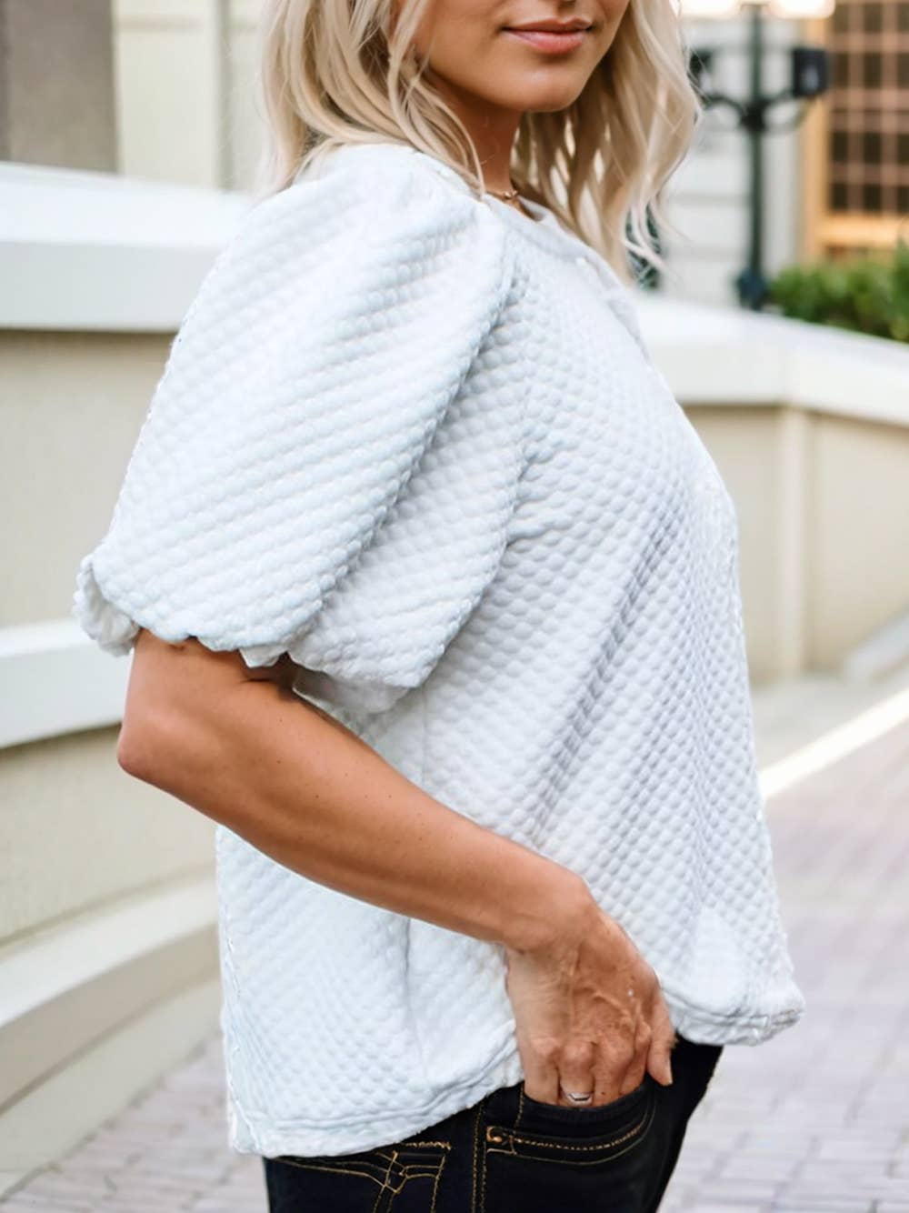 Solid Textured O Neck Puff Sleeve Blouse | 2 Colors: